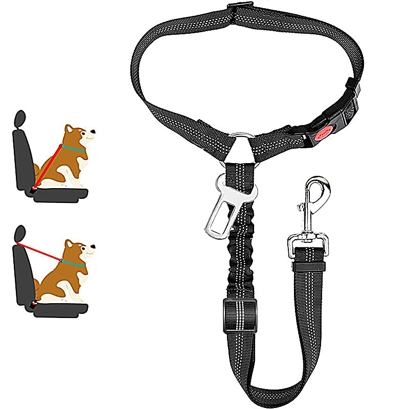 Two-in-One Dog Harness Leash