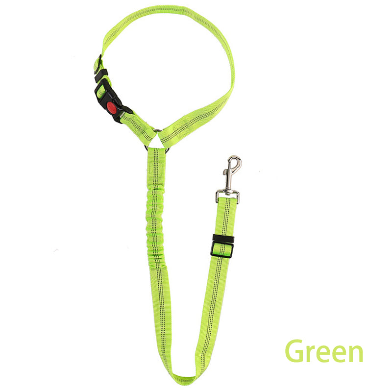 Two-in-One Dog Harness Leash