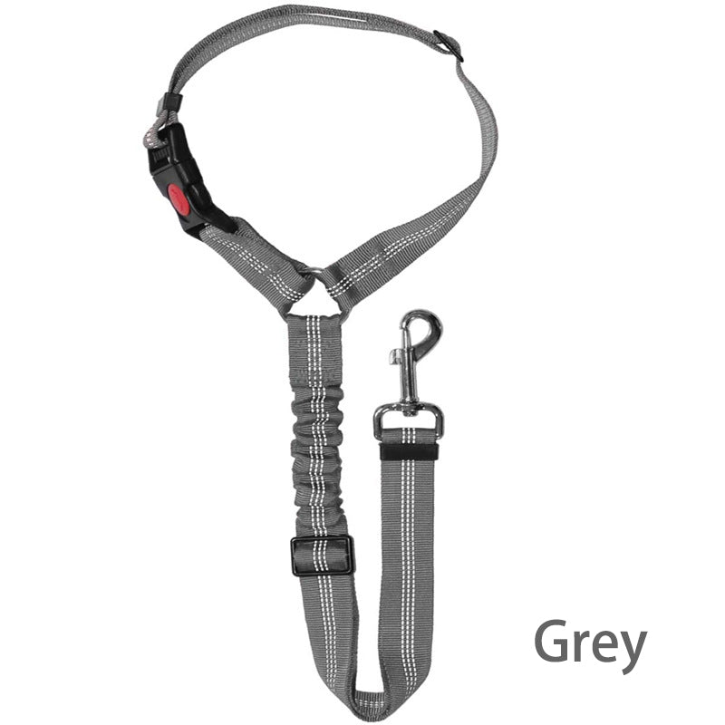 Two-in-One Dog Harness Leash