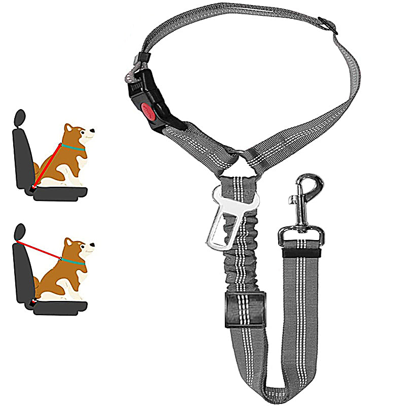 Two-in-One Dog Harness Leash