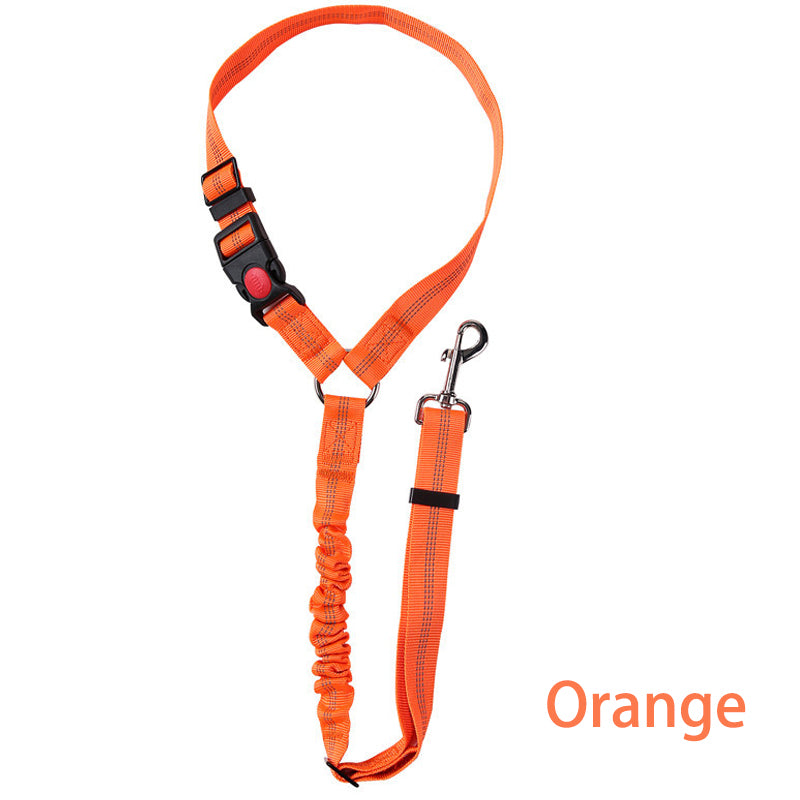 Two-in-One Dog Harness Leash