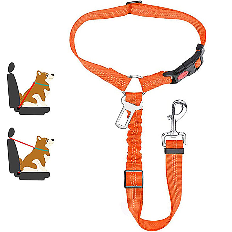 Two-in-One Dog Harness Leash