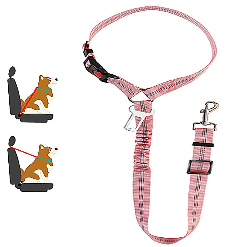 Two-in-One Dog Harness Leash