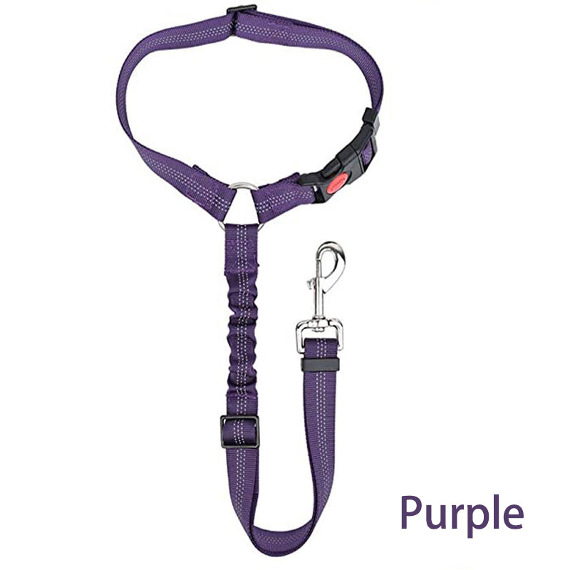 Two-in-One Dog Harness Leash