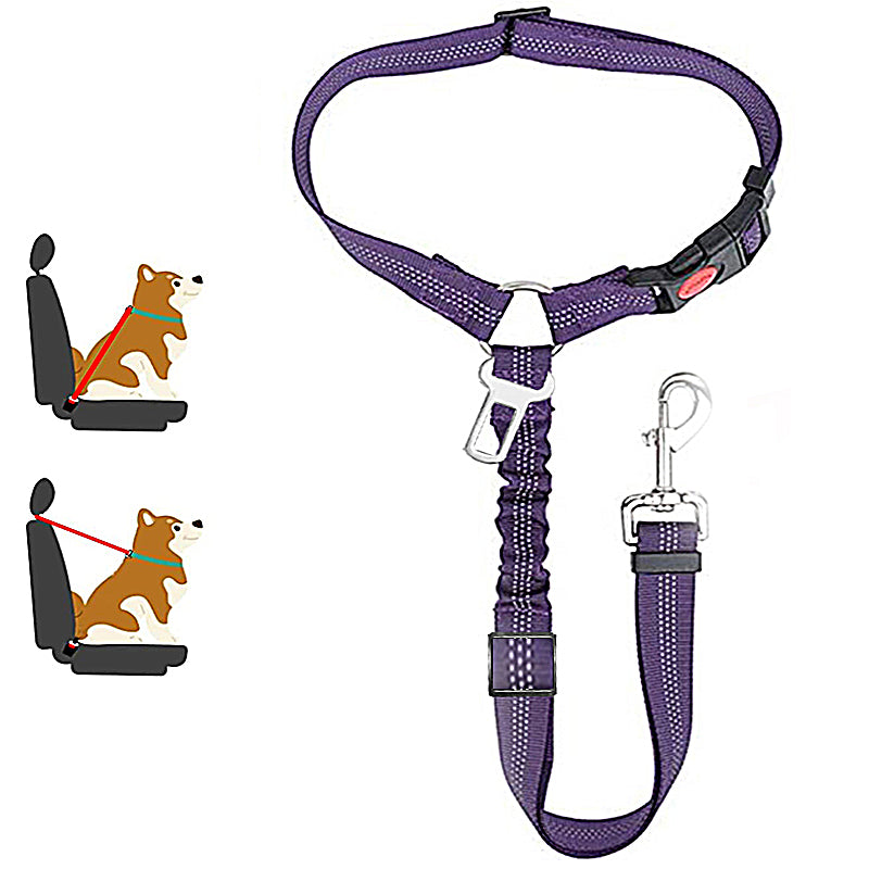 Two-in-One Dog Harness Leash