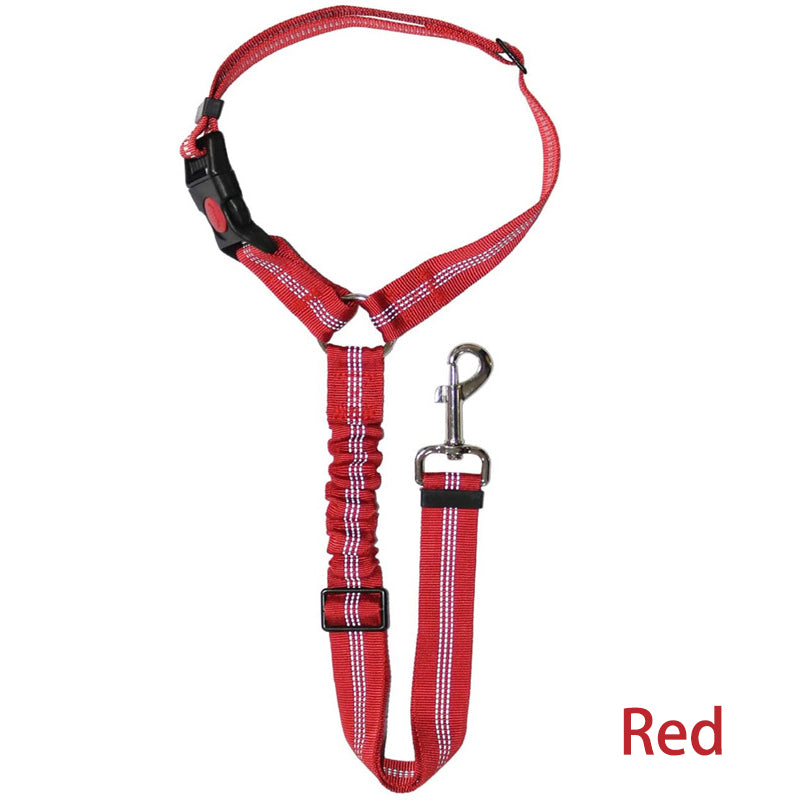 Two-in-One Dog Harness Leash