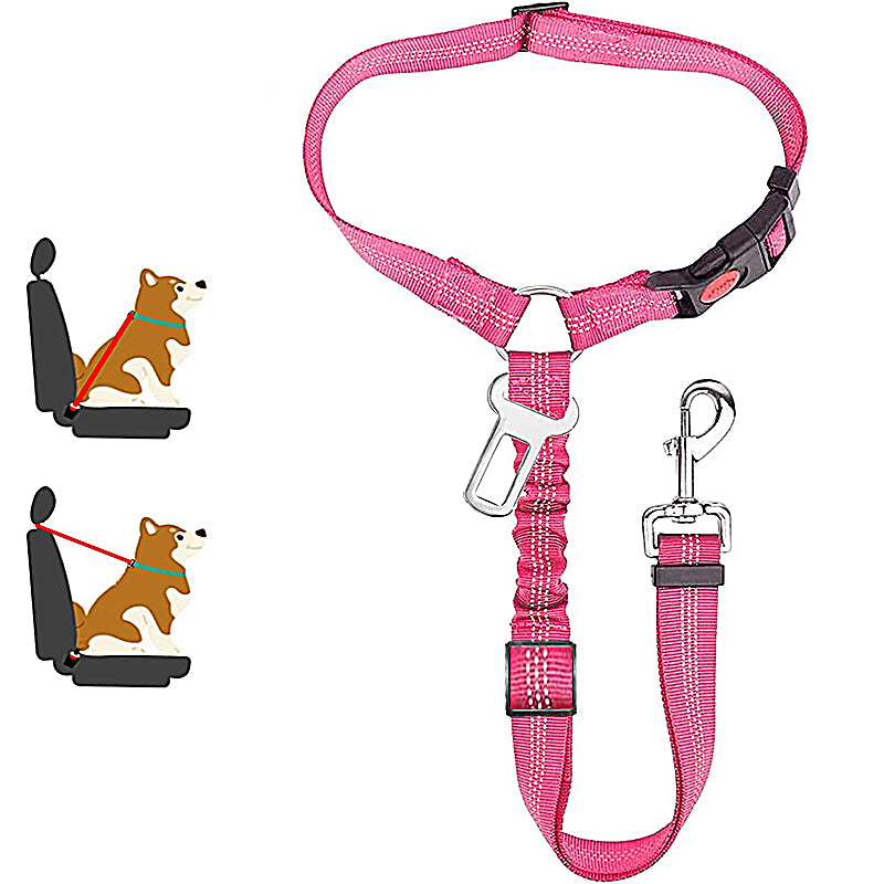 Two-in-One Dog Harness Leash