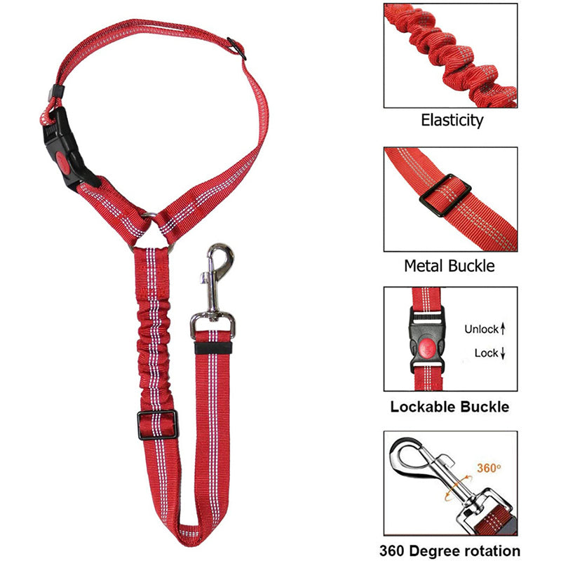 Two-in-One Dog Harness Leash