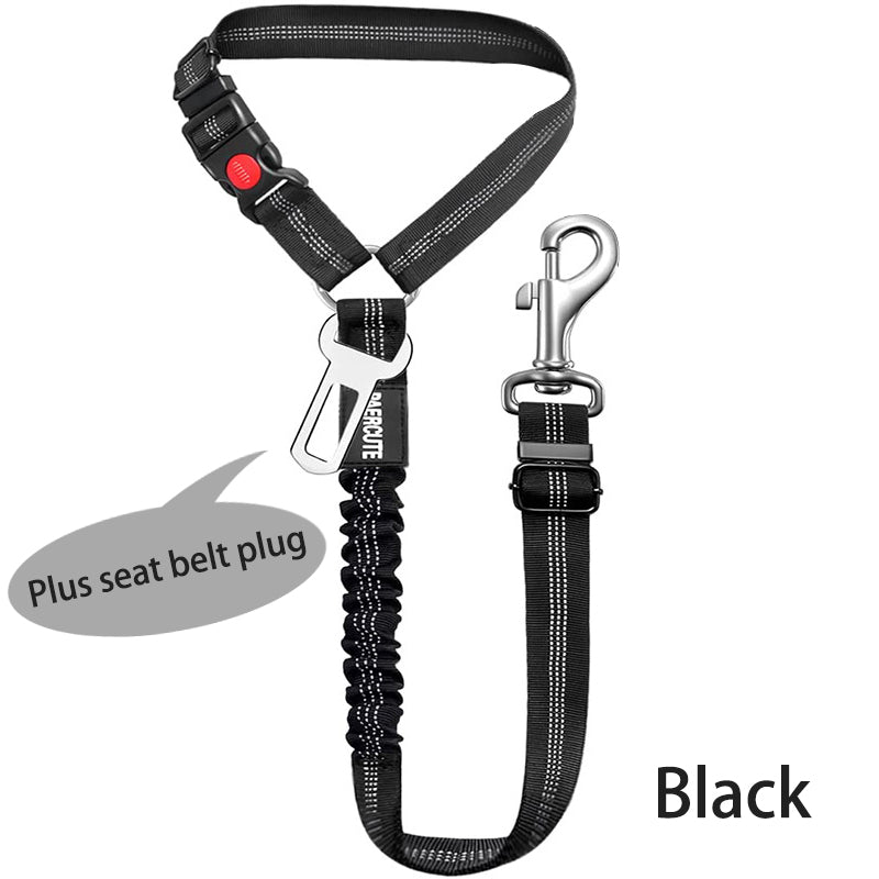 Two-in-One Dog Harness Leash