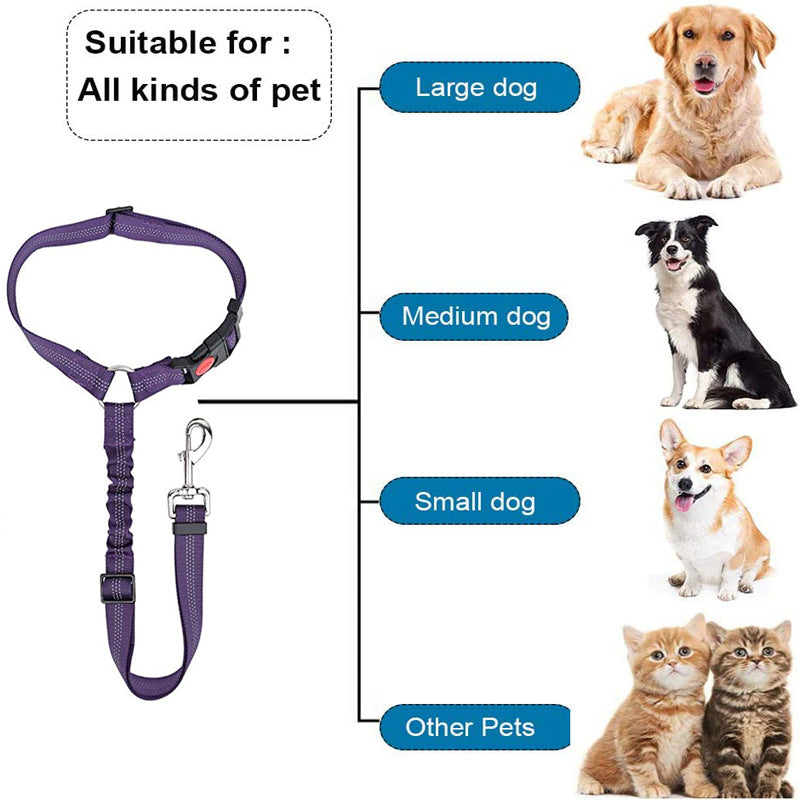 Two-in-One Dog Harness Leash