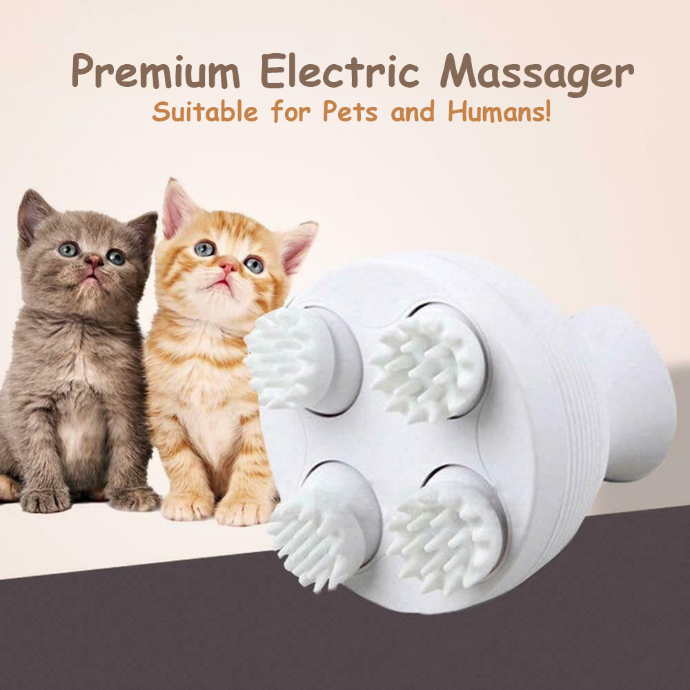 Premium Electric Massager